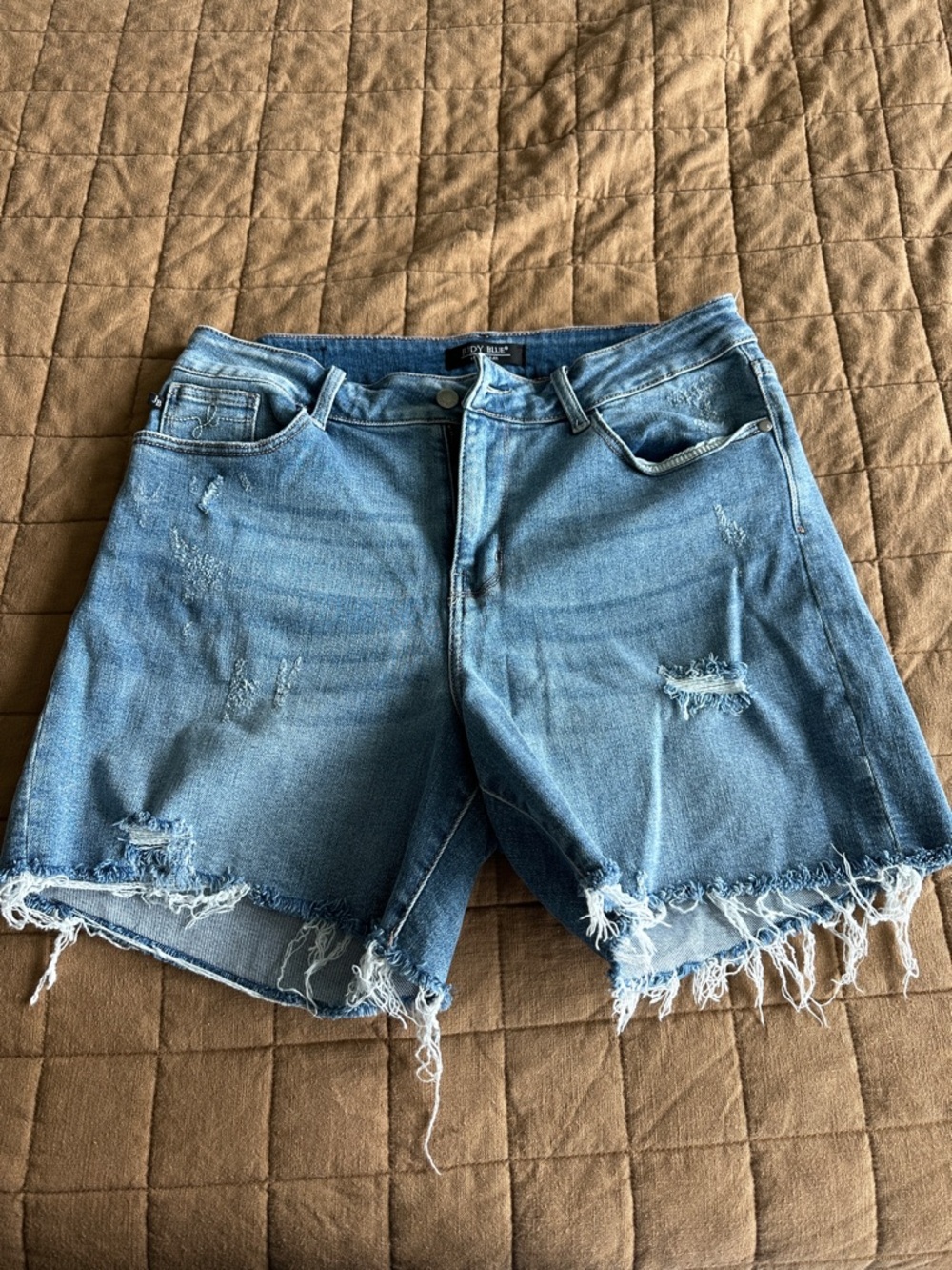 Judy Blue Light Blue Distressed Frayed Hem Denim Shorts